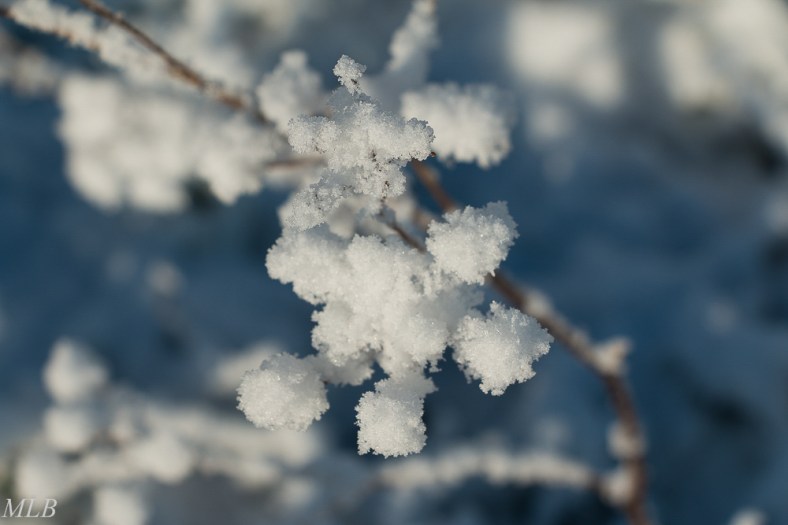 Décembre 2017 9 mlb-2