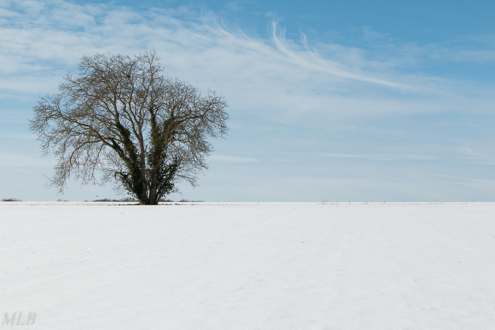 Février neige mlb42